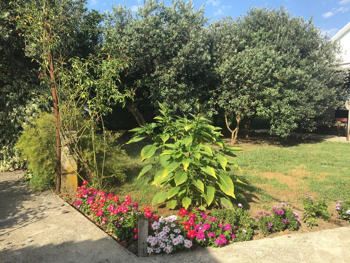 Guesthouse Milena Leselidze Bagian luar foto